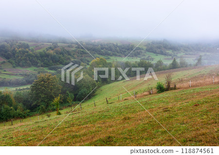 rural scenery with field on the hill. foggy weather. mountainous countryside landscape in autumn. forested slopes. transcarpathian region of ukraine in fall season rural scenery with field on the hill. foggy weather. mountainous countryside landscape in autumn. forested slopes. transcarpathian region of ukraine in fall season 118874561