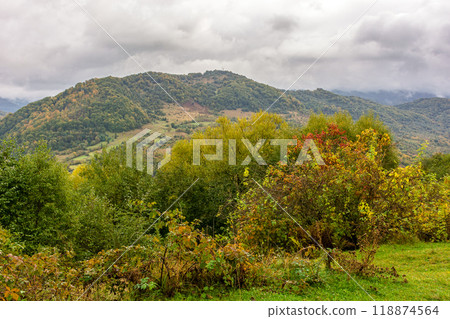 mountainous countryside of ukraine in fall season. cloudy weather. forest on the slope in colorful foliage 118874564