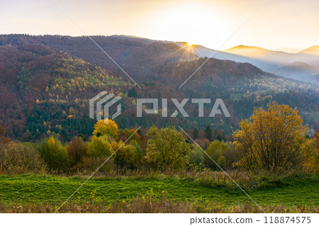 mountain landscape with valley on a foggy morning. trees on the hills in colorful foliage. fall season in carpathian mountains of ukraine. remote countryside mountain landscape with valley on a foggy morning. trees on the hills in colorful foliage. fall season in carpathian mountains of ukraine. remote countryside 118874575