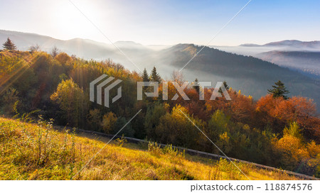 mountain landscape in autumn with morning fog in the valley. rolling hill with forest in fall colors. golden season in transcarpathia mountain landscape in autumn with morning fog in the valley. rolling hill with forest in fall colors. golden season in transcarpathia 118874576
