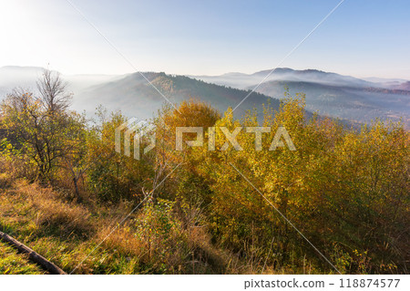 mountain landscape with valley on a foggy morning. trees on the hills in colorful foliage. fall season in carpathian mountains of ukraine. uzhanian national park mountain landscape with valley on a foggy morning. trees on the hills in colorful foliage. fall season in carpathian mountains of ukraine. uzhanian national park 118874577