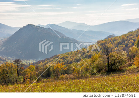 mountainous rural landscape with forest in autumn. trees on the hill in colorful foliage. sunny day. village in the valley mountainous rural landscape with forest in autumn. trees on the hill in colorful foliage. sunny day. village in the valley 118874581