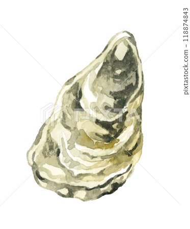 Oysters - Hand-drawn watercolor illustrations of cuisine and food 118874843