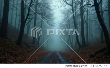 forest in autumn season, beautiful nature in morning, rainy weather, cloudy 118875153