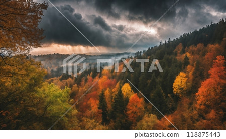 valley and forest in the autumn season, beautiful nature, rainy weather, cloudy 118875443