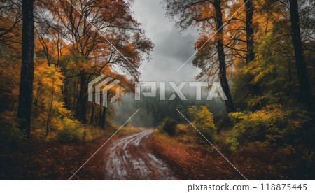 ground road in forest in the autumn season, beautiful nature, rainy weather, cloudy 118875445