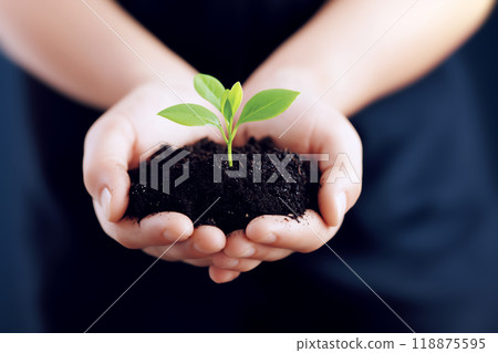 用手舀起植物芽 118875595
