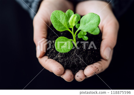 用手舀起植物芽 118875596