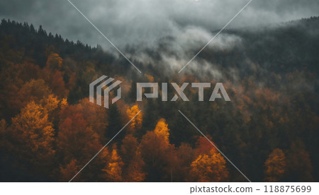 dramatic sky and forest in the autumn season, beautiful nature, rainy weather, cloudy 118875699