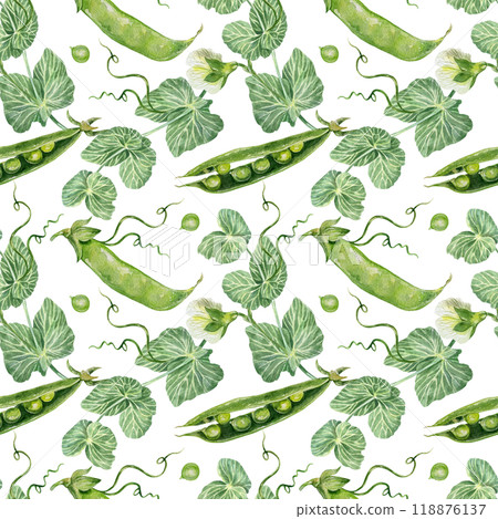 Peas seamless pattern. Pods, beans, flowers, leaves. Hand drawn watercolor illustration isolated on white. For wrapping paper, textile, covers, fabric, wallpaper, scrapbooking. Peas seamless pattern. Pods, beans, flowers, leaves. Hand drawn watercolor illustration isolated on white. For wrapping paper, textile, covers, fabric, wallpaper, scrapbooking. 118876137