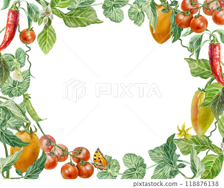 Vegetable frame horizontal, tomatoes, pepper, peas, butterfly. Hand drawn watercolor illustration isolated on white. For cards, invitations for Vegetarian and Harvest Day, labels. Vegetable frame horizontal, tomatoes, pepper, peas, butterfly. Hand drawn watercolor illustration isolated on white. For cards, invitations for Vegetarian and Harvest Day, labels. 118876138