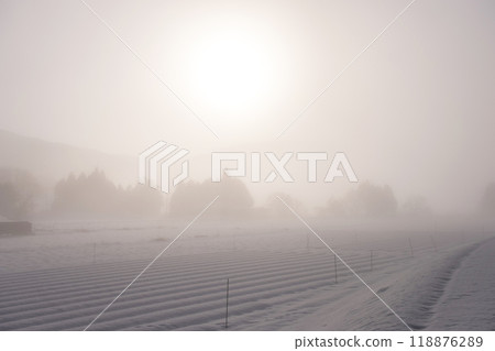 The morning sun rising over the snowfield (Hiruzen Kogen) 118876289