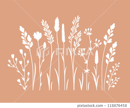 Wildflowers flowers isolated and floral pattern 118876458