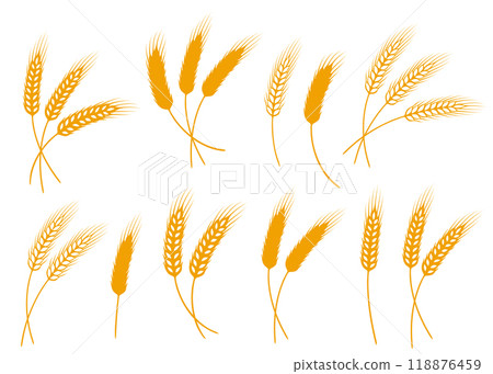 food set of wheat, barley, rye spikelets and ears 118876459
