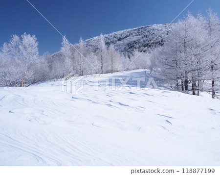 Hoarfrost on larch trees and Mt. Yunomaru 118877199