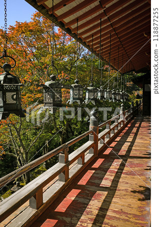 奈良/櫻井市談山神社靈堂/透明走廊 奈良/櫻井市談山神社靈堂/透明走廊 118877255