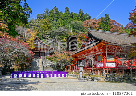 奈良/櫻井市談山神社 神社參拜場所區域 118877361
