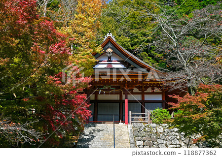 Tanzan Shrine, Sakurai City, Nara 118877362