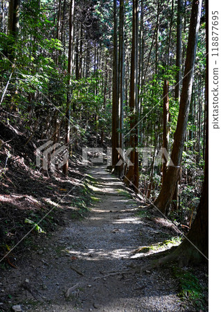 櫻井市、奈良丹山神社三天稻荷神社參道 櫻井市、奈良丹山神社三天稻荷神社參道 118877695
