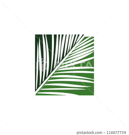 Green Tropical Palm leaf logo design vector Green Tropical Palm leaf logo design vector 118877759