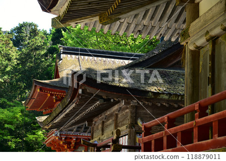 日吉大社西本神社建築 日吉大社西本神社建築 118879011