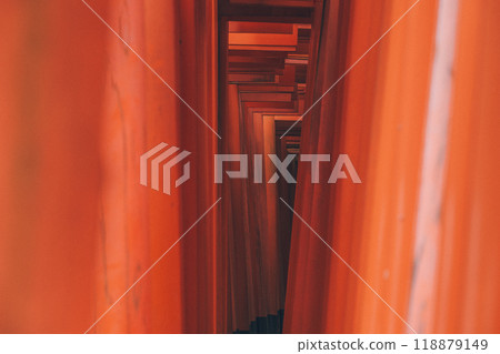 A view between two torii gates A view between two torii gates 118879149