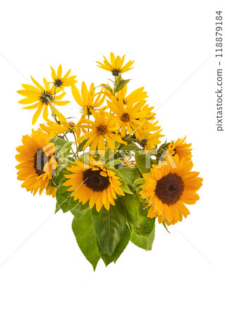 Sunflower Bouquet. A vibrant bouquet of sunflowers with green leaves, set against a white background. 118879184