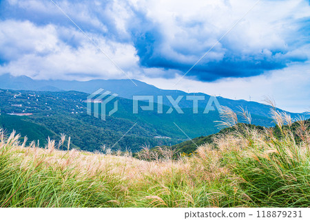 [Shizuoka Prefecture] Hosono Plateau in Izu Inatori, Autumn 118879231