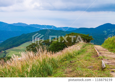 [Shizuoka Prefecture] Hosono Plateau in Izu Inatori, Autumn 118879239