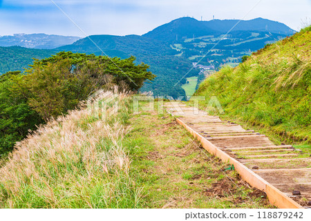 [Shizuoka Prefecture] Hosono Plateau in Izu Inatori, Autumn 118879242