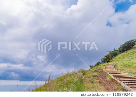 [Shizuoka Prefecture] Hosono Plateau in Izu Inatori, Autumn 118879248