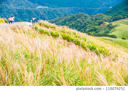 [Shizuoka Prefecture] Hosono Plateau in Izu Inatori, Autumn 118879252