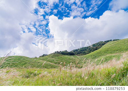 [靜岡縣] 伊豆稻取細野高原的秋天 118879253