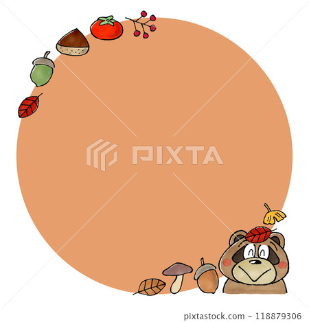 Raccoon and autumn plants Copy space 118879306