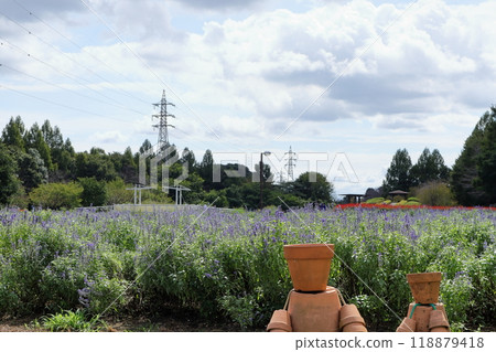 Saitama scenery 118879418