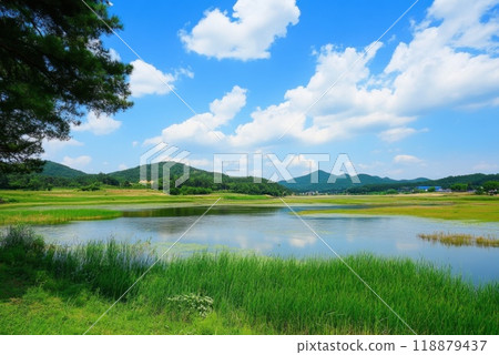 A serene view of a tranquil lake surrounded by lush greenery and distant mountains on a sunny day 118879437