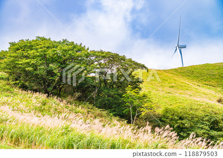 [Shizuoka Prefecture] Wind power generation windmills at Hosono Plateau in Izu Inatori 118879503