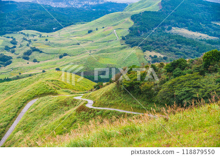 [Shizuoka Prefecture] Izu Inatori Hosono Plateau in autumn 118879550