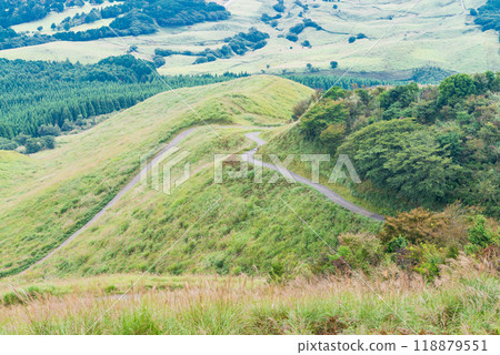 [靜岡縣] 秋天的伊豆稻取細野高原 118879551