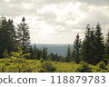 Beautiful view in the Black Forest in Southern Germany 118879783