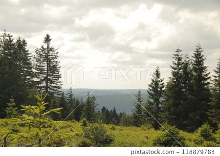 Beautiful view in the Black Forest in Southern Germany Beautiful view in the Black Forest in Southern Germany 118879783