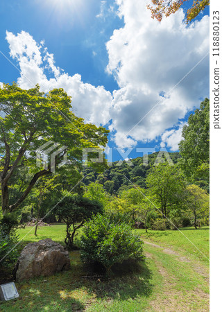 Summer Arashiyama Park Kameyama area Summer Arashiyama Park Kameyama area 118880123