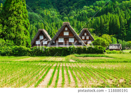 Japanese traditional scenery: Shirakawa-go in autumn Japanese traditional scenery: Shirakawa-go in autumn 118880191