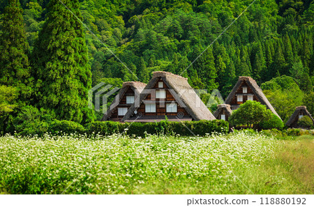 Japanese traditional scenery: Shirakawa-go in autumn Japanese traditional scenery: Shirakawa-go in autumn 118880192