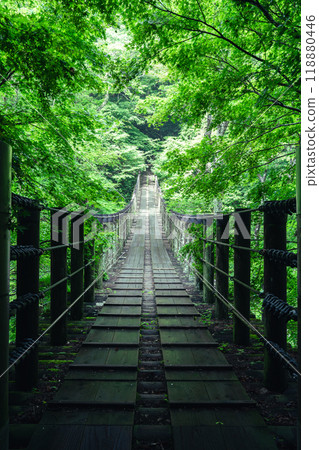 Fresh greenery at Shiomi Falls Suspension Bridge Fresh greenery at Shiomi Falls Suspension Bridge 118880446