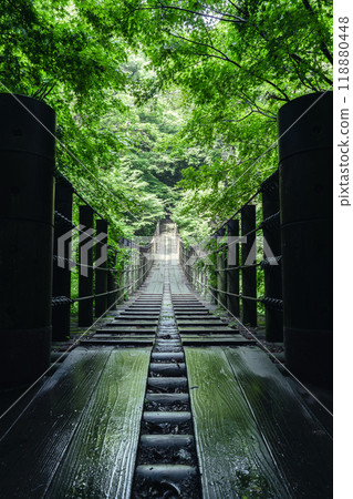 Fresh greenery at Shiomi Falls Suspension Bridge Fresh greenery at Shiomi Falls Suspension Bridge 118880448