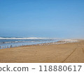 Beach with thousands of birds in southern Peru 118880617