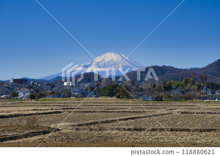 [Hiratsuka City] Mt. Fuji seen from the countryside 118880621