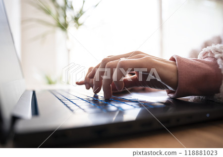Female hands typing and using laptop computer 118881023