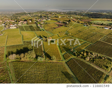 Aerial view, Bordeaux vineyard, landscape vineyard south west of france, Sainte-Croix-du-Mont Aerial view, Bordeaux vineyard, landscape vineyard south west of france, Sainte-Croix-du-Mont 118881549